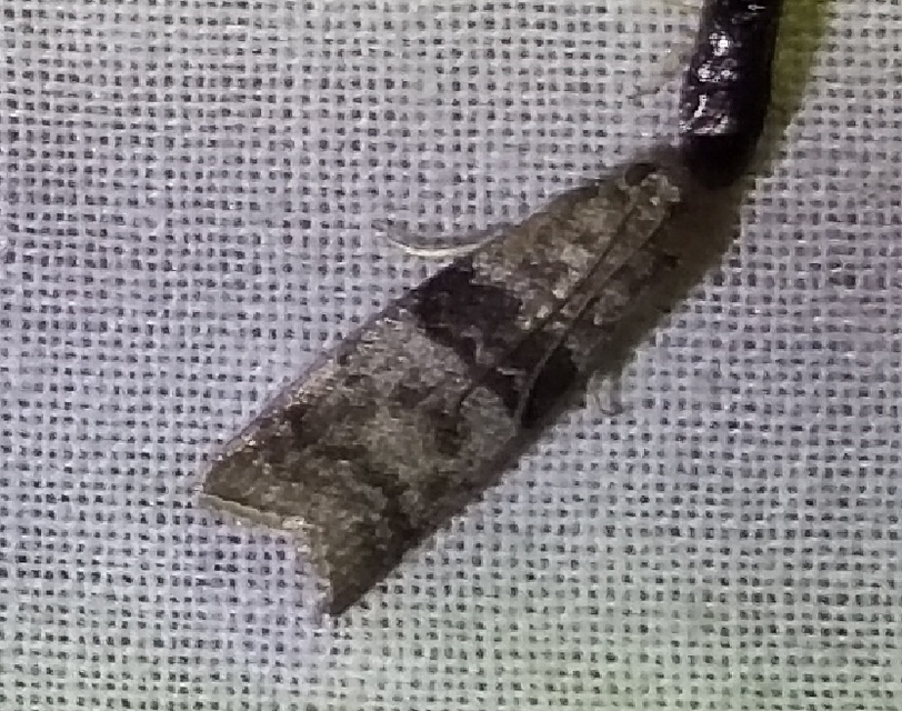 Sciota